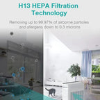SimPure HP9 Air Purifier True HEPA Filter Air Cleaner Teal Simba